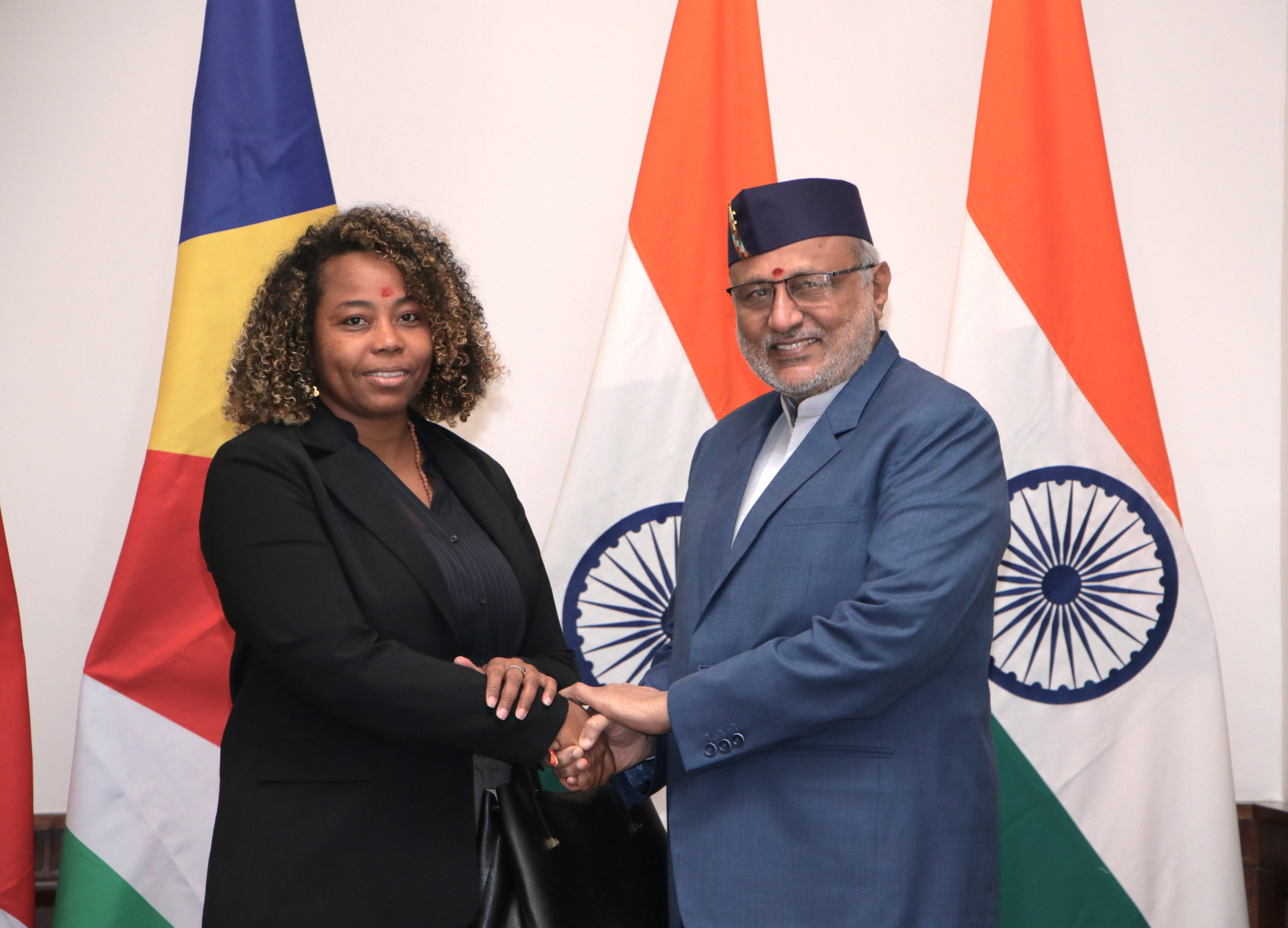 Vice-President meets Seychelles parliamentary delegation, highlights stronger bilateral ties